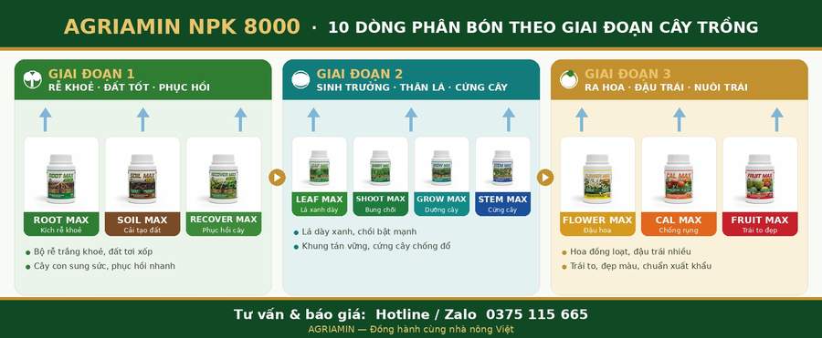 AGRI AMIN 3 giai đoạn