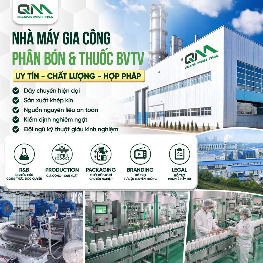 Nhà máy Quang Minh TNA tổng quan