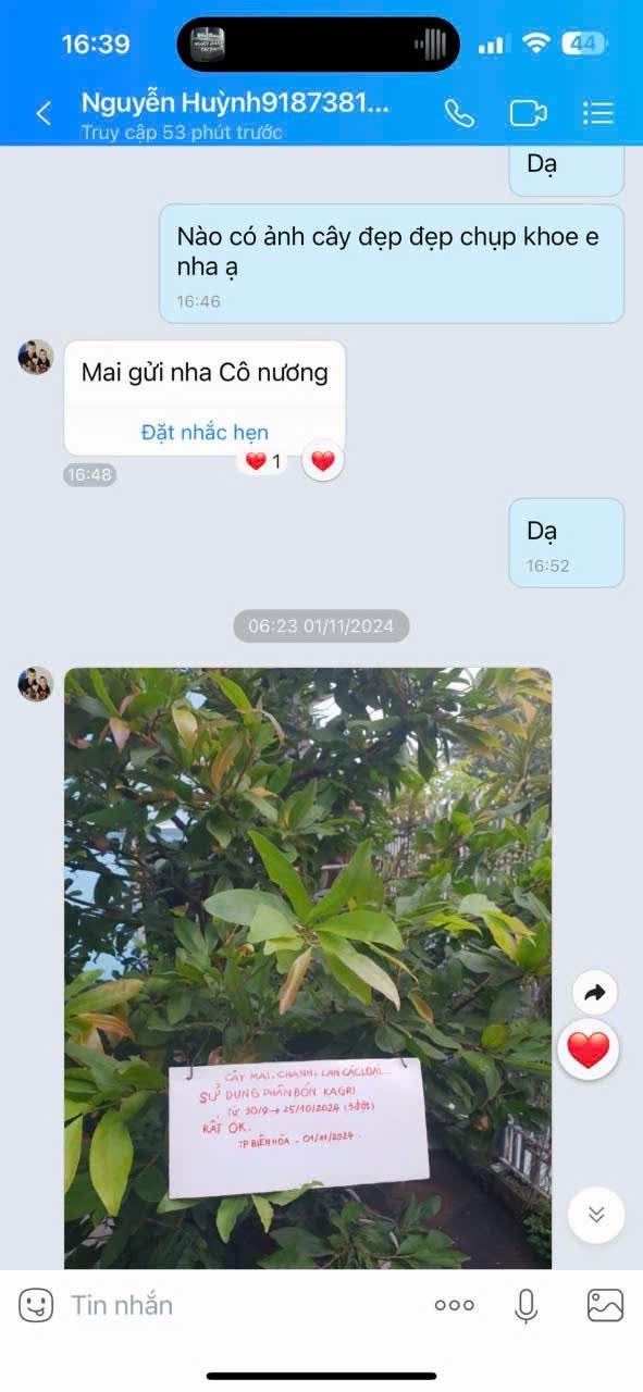 Feedback