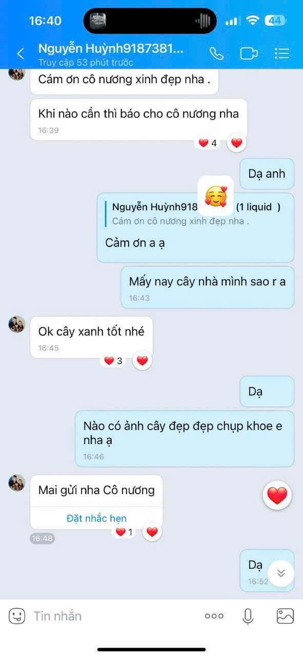 Feedback khách hàng