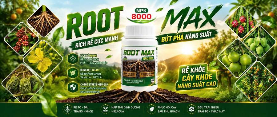 AGRI AMIN NPK 8000 – Kích rễ cực mạnh