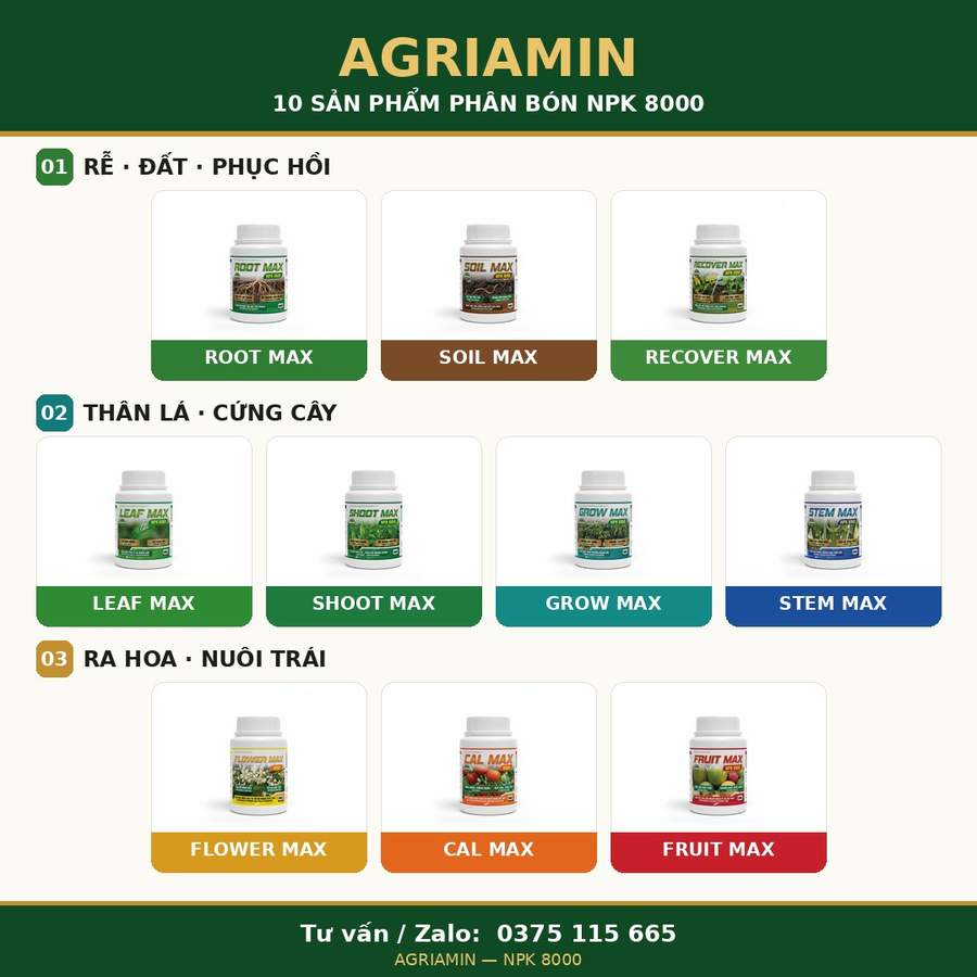 AGRI AMIN